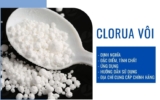 Clorua Vôi Là Gì ? Ứng Dụng Và Tác Hại Của Clorua Vôi Trong Cuộc Sống ?