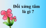 Đối xứng tâm là gì ? Hai điểm, hai hình đối xứng qua tâm ? Lý thuyết, ví dụ