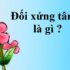 Thế nào là từ láy ? Có mấy loại từ láy ? Tác dụng của từ láy ? Ví dụ ? Lớp 4, Lớp 6