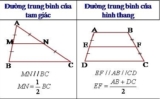 Tính Chất Đường Trung Bình Của Tam Giác, Của Hình Thang – Toán Lớp 7, Lớp 8
