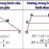 Chim sẻ bay vào nhà là điềm gì ? Nên đánh con gì ? Là điềm Lành hay Dữ