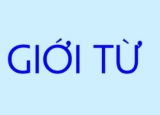 Giới từ trong tiếng việt là gì ? Chức năng của giới từ ? Kèm ví dụ minh họa ?