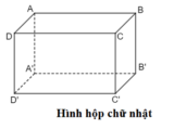 Hình hộp hình chữ nhật là gì ? Tính chất, dấu hiệu nhận biết ? Toán lớp 5, lớp 6