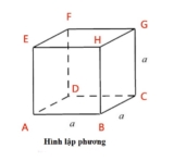 Hình lập phương là gì ? Tính chất, dấu hiệu nhận biết của hình ? Toán lớp 5, 6, 11