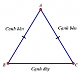 Hình tam giác là gì ? Phân loại ? Cách xác định đáy và chiều cao tam giác ?