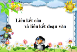 Liên kết câu và liên kết đoạn văn là gì ? Ví dụ ? Bài tập luyện tập ?