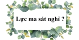 Lực ma sát nghỉ là gì ? Xuất hiện khi nào ? Cho ví dụ ? Vai trò, tác dụng ?