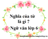 Nghĩa của từ là gì ? Trình bày các loại nghĩa của từ ? Ngữ Văn lớp 6