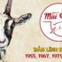 Công thức tính nồng độ phần trăm của dung dịch là gì ? Ví dụ kèm lời giải ?