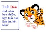 Người tuổi Dần sinh năm bao nhiêu ? Hợp tuổi nào ? Hợp màu nào
