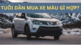 Tuồi Dần nên mua xe màu gì ? Màu xe phù hợp với phong thủy ?