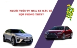 Người tuổi Tỵ nên mua xe màu gì ? Màu xe nào thu hút tài lộc ?