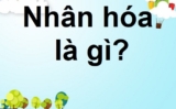 Nhân hóa là gì ? Lấy ví dụ ? Có mấy kiểu nhân hóa ? Tác dụng của nhân hóa ?