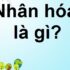 Đường phân giác là gì ? Đường phân giác trong tam giác là gì ? Toán Lớp 7