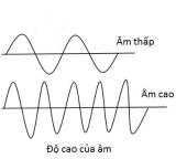 Sóng âm là gì ? Các đặc điểm và phân loại sóng âm ? Công thức tính sóng âm ?