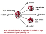Phản ứng phân hạch là gì ? Năng lượng phân hạch gồm phản ứng nào ?