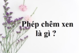 Phép chêm xen là gì ? Các ví dụ và bài tập về biện pháp tu từ Chêm xen ?