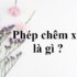 Axit là gì ? Cho ví dụ ? Tính chất và Phân loại các axit ? Hóa lớp 8, lớp 9