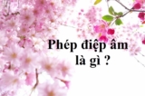 Phép điệp âm là gì ? Điệp vần, Điệp thanh có đặc điểm gì ? Ví dụ minh họa ?