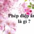 Tuổi Nhâm Ngọ 2002 hợp tuổi nào ? Hợp màu gì ? Hợp số nào ?