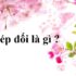 Vị ngữ là gì ? Cho ví dụ minh họa ? Cách xác định vị ngữ ? Tiếng Việt lớp 4, lớp 5