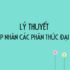 Ba định luật Niu tơn Vật lý 10 – Chuyên đề với đầy đủ lý thuyết, bài tập