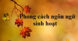 Phong cách ngôn ngữ sinh hoạt là gì ? Ví dụ, Chức năng, Đặc trưng
