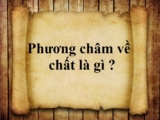 Phương châm về chất là gì ? Cho ví dụ minh họa ? Tổng hợp lý thuyết Ngữ Văn 9