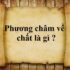 Câu trần thuật đơn là gì ? Lấy ví dụ ? Phân loại, đặc điểm, chức năng ? Ngữ Văn 6
