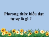 Phương Thức Biểu Đạt Tự Sự là gì ? Cho ví dụ ? Cách xác định phương thức