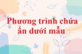 Phương trình chứa ẩn ở mẫu – Lý thuyết, bài tập, cách giải, Toán lớp 8, lớp 10