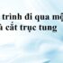 Tê Tê là số mấy ? Mơ thấy Tê Tê đánh con gì ? Là điềm báo gì ?