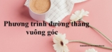 Viết phương trình đường thẳng vuông góc với đường thẳng cho trước – Toán lớp 9