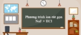 Phương pháp sử dụng phương trình ion thu gọn ? Lý thuyết và bài tập có lời giải