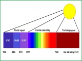 Quang phổ ánh sáng là gì ? Ảnh hợp đến quang hợp như thế nào ?