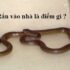 Mơ thấy bị công an bắt, công an đuổi có điềm báo gì ? Đánh con gì ?