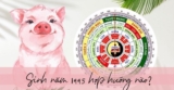 Tuổi Ất Hợi 1995 xây nhà hướng nào ? Chọn hướng xây nhà hợp ?