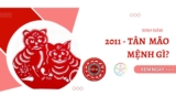 Sinh năm 2011 mệnh gì ? Tuổi Tân Mão là tuổi gì ? Cung gì ?