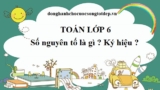Số nguyên tố là gì ? Là những số nào ? Số nhỏ nhất, lớn nhất ? Toán 6 ( Sách mới )