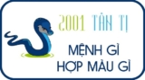 Tuổi Tân Tỵ 2001 hợp tuổi nào ? Hợp màu nào ? Hợp hướng nào ?