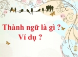 Thành ngữ là gì ? Có mấy loại ? Đặc điểm và Ví dụ minh họa ? Lớp 4, Lớp 5, Lớp 6