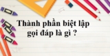 Thành phần biệt lập gọi đáp là gì ? Những ví dụ minh họa và đặc điểm ?