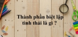 Thành phần biệt lập tình thái là gì ? Ví dụ minh họa và dấu hiệu nhận biết ?