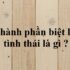Câu trần thuật là gì ? Cho ví dụ ? Cách đặt câu trần thuật ? Lớp 6, lớp 7, lớp 8