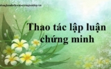 Thao tác lập luận chứng minh là gì ? Yêu cầu, ví dụ của thao tác ? Cách làm bài ?