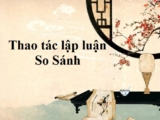 Thao tác lập luận so sánh là gì ? Khái niệm, ví dụ, lý thuyết Văn học