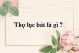 Thơ lục bát là gì ? Luật, nhịp điệu, đặc điểm của thơ lục bát ? Ngữ Văn lớp 6, lớp 7