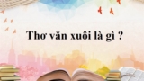 Thợ văn xuôi là gì ? Cho ví dụ ? Cách nhận biết ? Văn học lớp 9, lớp 11