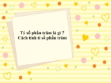 Tỉ số phần trăm là gì ? Cách tính tỉ số phần trăm ? Toán lớp 5, lớp 6