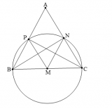 Tính chất đối xứng của đường tròn được xác định như thế nào ? Toán Lớp 9